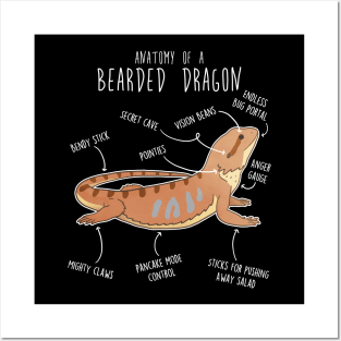 Bearded Dragon Lizard Reptile Anatomy Posters and Art